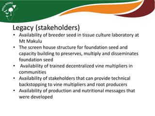 Strengthening orange fleshed sweet potato planting material systems: Legacy, loose ends and exit strategy