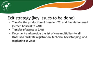 Strengthening orange fleshed sweet potato planting material systems: Legacy, loose ends and exit strategy