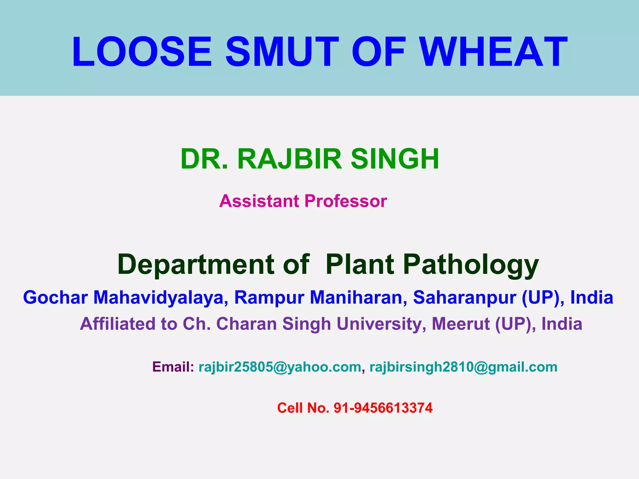 LOOSE SMUT OF WHEAT
DR. RAJBIR SINGH
Assistant Professor
Department of Plant Pathology
Gochar Mahavidyalaya, Rampur Maniharan, Saharanpur (UP), India
Affiliated to Ch. Charan Singh University, Meerut (UP), India
Email: rajbir25805@yahoo.com, rajbirsingh2810@gmail.com
Cell No. 91-9456613374