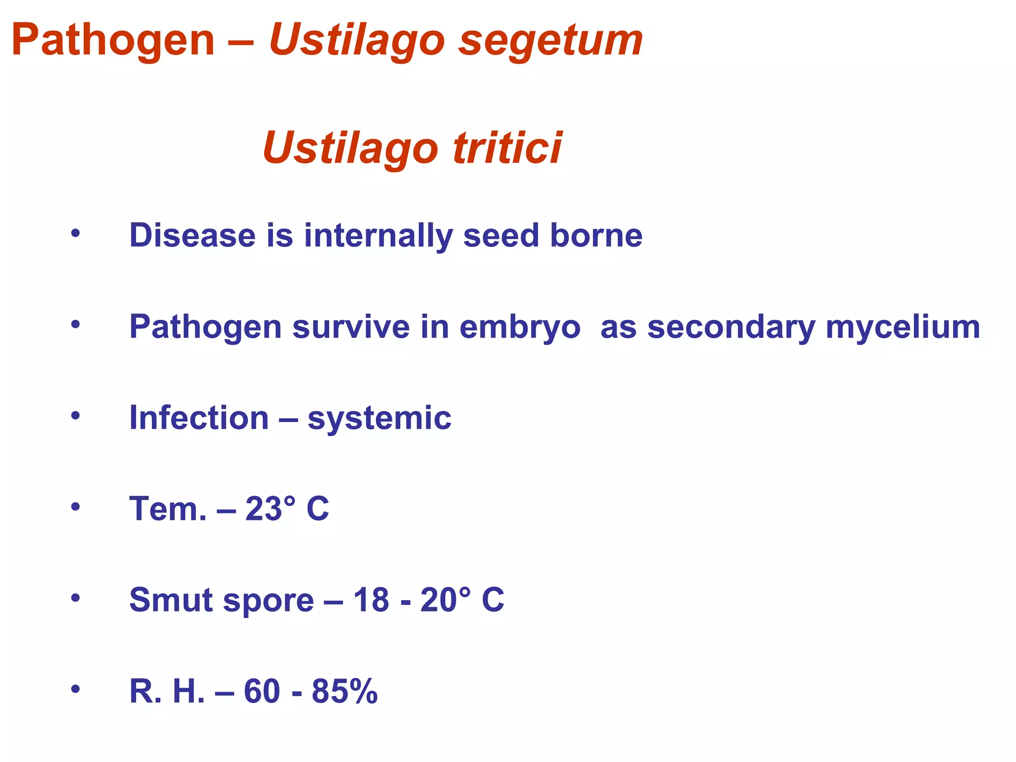 Pathogen – Ustilago segetum
Ustilago tritici
• Disease is internally seed borne
• Pathogen survive in embryo as secondary mycelium
• Infection – systemic
• Tem. – 23° C
• Smut spore – 18 - 20° C
• R. H. – 60 - 85%