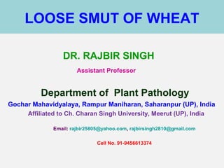 LOOSE SMUT OF WHEAT
DR. RAJBIR SINGH
Assistant Professor
Department of Plant Pathology
Gochar Mahavidyalaya, Rampur Maniharan, Saharanpur (UP), India
Affiliated to Ch. Charan Singh University, Meerut (UP), India
Email: rajbir25805@yahoo.com, rajbirsingh2810@gmail.com
Cell No. 91-9456613374
 