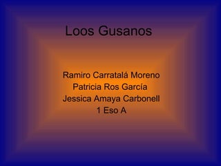 Loos Gusanos  Ramiro Carratalá Moreno Patricia Ros García  Jessica Amaya Carbonell 1 Eso A 