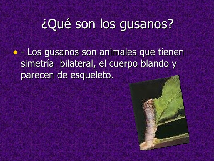 Loos gusanos Loos gusanos