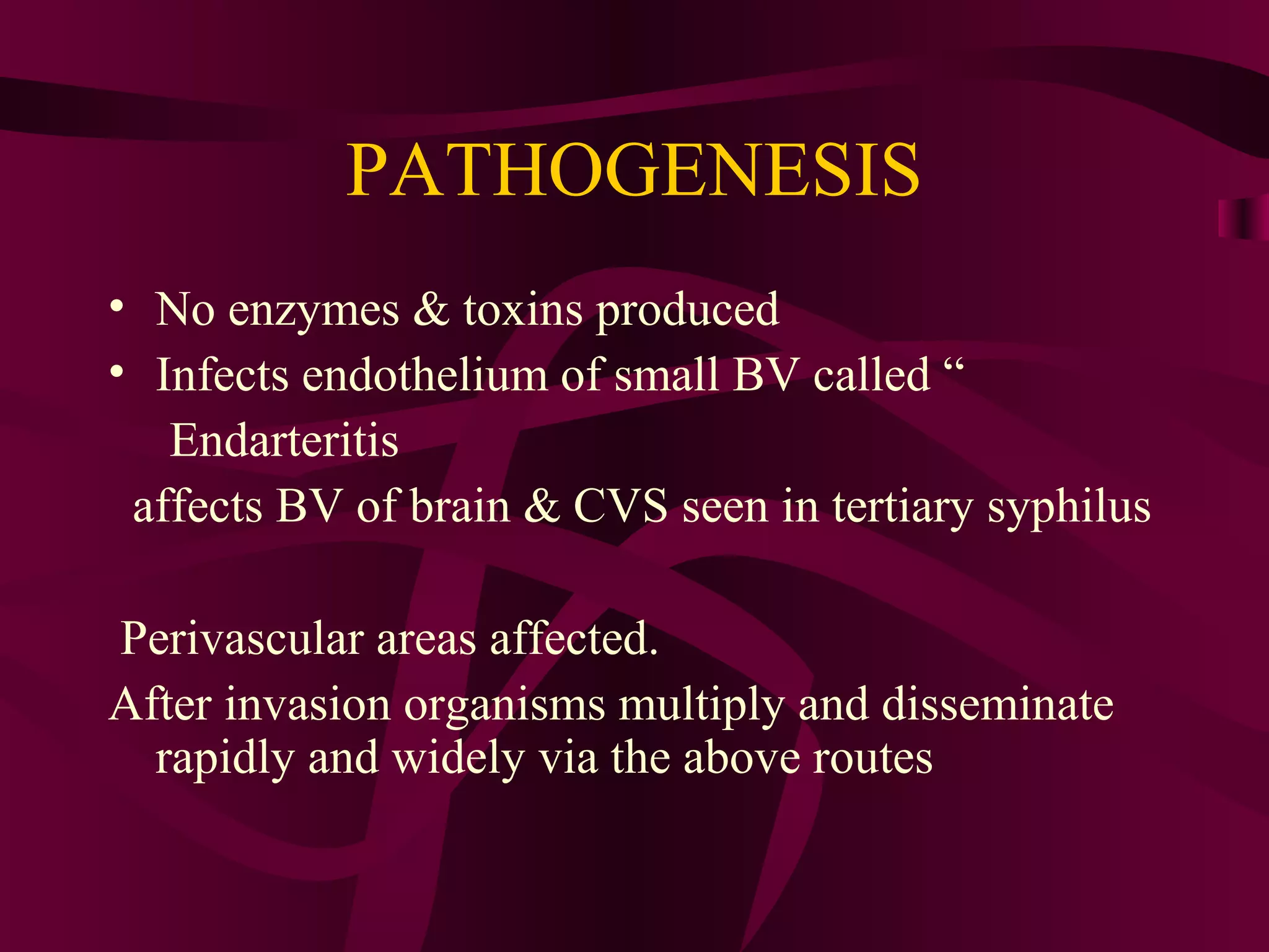 PATHOGENESIS
• No enzymes & toxins produced
• Infects endothelium of small BV called “
Endarteritis
affects BV of brain & CVS seen in tertiary syphilus
Perivascular areas affected.
After invasion organisms multiply and disseminate
rapidly and widely via the above routes
 