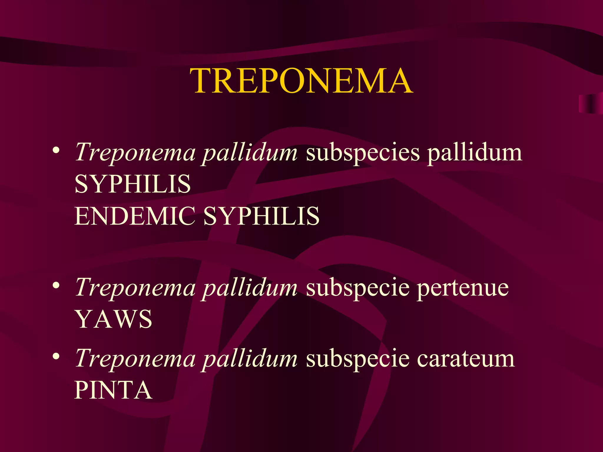 TREPONEMA
• Treponema pallidum subspecies pallidum
SYPHILIS
ENDEMIC SYPHILIS
• Treponema pallidum subspecie pertenue
YAWS
• Treponema pallidum subspecie carateum
PINTA
 