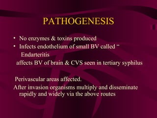 PATHOGENESIS
• No enzymes & toxins produced
• Infects endothelium of small BV called “
Endarteritis
affects BV of brain & CVS seen in tertiary syphilus
Perivascular areas affected.
After invasion organisms multiply and disseminate
rapidly and widely via the above routes
 