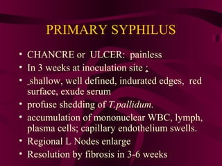 PRIMARY SYPHILUS
• CHANCRE or ULCER: painless
• In 3 weeks at inoculation site ;
• shallow, well defined, indurated edges, red
surface, exude serum
• profuse shedding of T.pallidum.
• accumulation of mononuclear WBC, lymph,
plasma cells; capillary endothelium swells.
• Regional L Nodes enlarge
• Resolution by fibrosis in 3-6 weeks
 