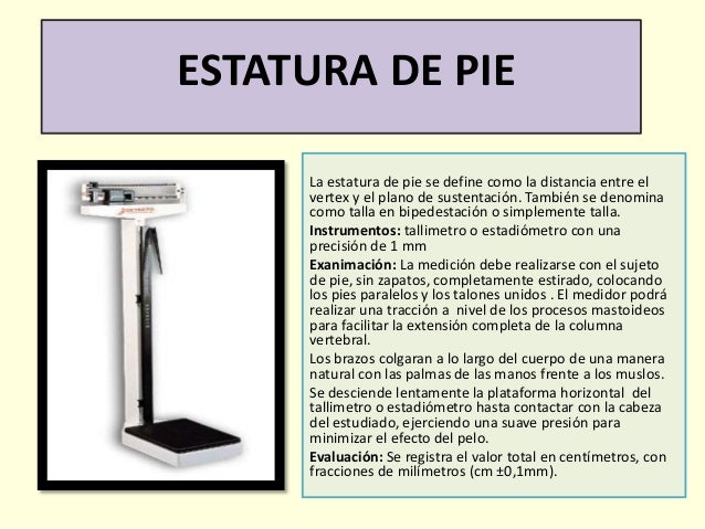 Examinacion De Las Medidas Antropometricas