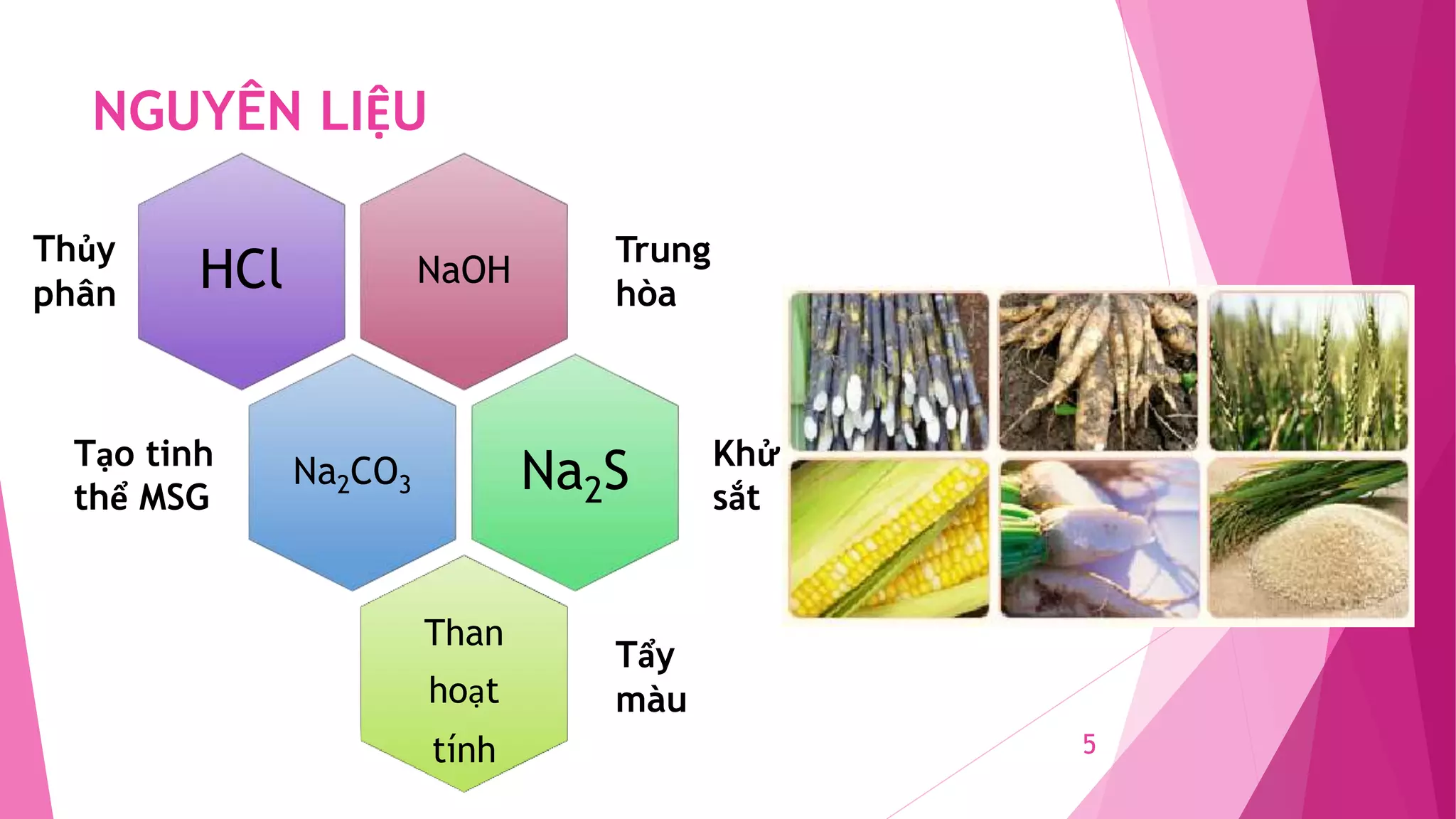 Qúa trình sản xuất bột ngọt AJINOMOTO | PPTX