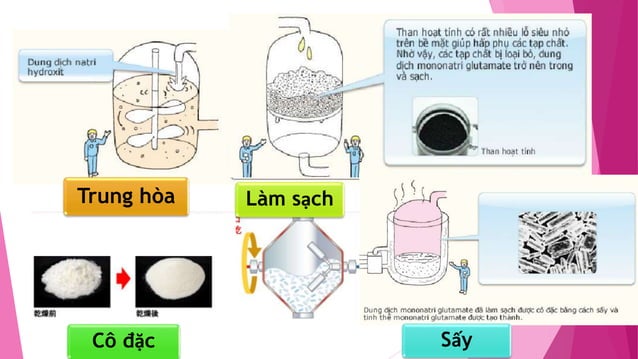 Qúa trình sản xuất bột ngọt AJINOMOTO