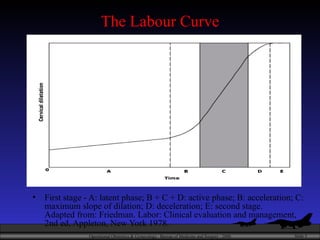 The Labour Curve First stage - A: latent phase; B + C + D: active phase; B: acceleration; C: maximum slope of dilation; D: deceleration; E: second stage. Adapted from: Friedman. Labor: Clinical evaluation and management, 2nd ed, Appleton, New York 1978.  