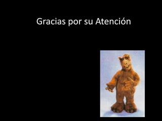 Gracias por su Atención
 