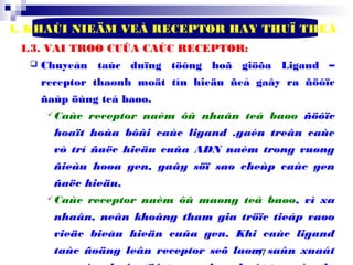 17
I. KHAÙI NIEÄM VEÀ RECEPTOR HAY THUÏ THEÅ
I.3. VAI TROØ CUÛA CAÙC RECEPTOR:
 Chuyeån taùc duïng töông hoã giöõa Ligand –
receptor thaønh moät tín hieäu ñeå gaây ra ñöôïc
ñaùp öùng teá baøo.
Caùc receptor naèm ôû nhaân teá baøo ñöôïc
hoaït hoùa bôûi caùc ligand .gaén treân caùc
vò trí ñaëc hieäu cuûa ADN naèm trong vuøng
ñieàu hoøa gen, gaây söï sao cheùp caùc gen
ñaëc hieäu.
Caùc receptor naèm ôû maøng teá baøo, vì xa
nhaân, neân khoâng tham gia tröïc tieáp vaøo
vieäc bieåu hieän cuûa gen. Khi caùc ligand
taùc ñoäng leân receptor seõ laøm saûn xuaát
 