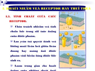 18
I. KHAÙI NIEÄM VEÀ RECEPTOR HAY THUÏ THEÅ
I.3. TÍNH CHAÁT CUÛA CAÙC
RECEPTOR:
 Chòu traùch nhieäm veà tính
choïn loïc trong söï taùc ñoäng
cuûa döôïc phaåm.
 Laø yeáu toá quyeát ñònh veà
löôïng moái lieân heä giöõa lieàu
duøng hay noàng ñoä döôïc
phaåm vôùi hieäu öùng döôïc löïc
sinh ra.
 Laøm trung gian cho hoaït
 