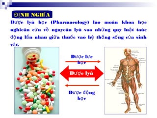 3
D c lyù h c (Pharmacology) laø moân khoa h cượ ọ ọ
nghieân c u v nguyeân lyù vaø nh ng quy lu t taùcứ ề ữ ậ
ng l n nhau gi a thu c vaø h th ng s ng c a sinhđộ ẩ ữ ố ệ ố ố ủ
v t.ậ
D c l cượ ự
h cọ
D c ngượ độ
h cọ
NH NGH AĐỊ Ĩ
D c lyùượ
h cọ
 