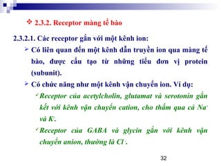32
2.3.2.1. Các receptor gắn với một kênh ion:
 Có liên quan đến một kênh dẫn truyền ion qua màng tế
bào, được cấu tạo từ những tiểu đơn vị protein
(subunit).
 Có chức năng như một kênh vận chuyển ion. Ví dụ:
Receptor của acetylcholin, glutamat và serotonin gắn
kết với kênh vận chuyển cation, cho thấm qua cả Na+
và K+
.
Receptor của GABA và glycin gắn với kênh vận
chuyển anion, thường là Cl -
.
 2.3.2. Receptor màng tế bào
 