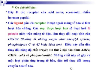 42
 Đây là các receptor của acid amin, ecosanoid, nhiều
hormon peptid.
 Các ligand gắn lên receptor ở mặt ngoài màng tế bào sẽ làm
hoạt hóa chúng. Các rep. được hoạt hoá sẽ hoạt hoá G
protein nằm trên màng tế bào, làm thay đổi hoạt tính của
effector (thường là những enzym như adenylyl cyclase,
phospholipase C và A2 hoặc kênh ion). Điều này dẫn đến
thay đổi nồng độ chất truyền tin thứ 2 nội bào như: AMPc,
GMPc, calci và phosphoinositid. Những chất này sẽ gây ra
một loạt phản ứng trong tế bào, dẫn tới thay đổi trong
chuyển hoá tế bào.
 Cơ chế nội bào:
 