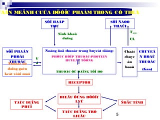 5
VAÄN MEÄNH CUÛA DÖÔÏC PHAÅM TRONG CÔ THEÅ
SÖÏ HAÁP
THU
SÖÏ ÑAØO
THAÛI
V
d
RECEPTOR
Sinh khaû
duïng
TAÙC DUÏNG
PHUÏ
TAÙC DUÏNG TRÒ
LIEÄU
HIEÄU ÖÙNG DÖÔÏC
LYÙ ÑOÄC TÍNH
T1/2
CL
SÖÏ PHAÂN
PHOÁI
THUOÁC
Thuoác ôû
daïng gaén
keát vôùi moâ
CHUYEÅ
N HOAÙ
THUOÁC
(Gan)
Chaát
chuye
ån
hoaù
Noàng ñoä thuoác trong huyeát töông:
PHÖÙC HÔÏP THUOÁC-PROTEIN
HUYEÁT TÖÔNG
THUOÁC ÔÛ DAÏNG TÖÏ DO
 