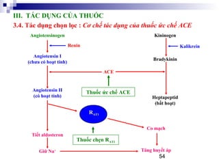 54
III. TÁC DỤNG CỦA THUỐC
3.4. Tác dụng chọn lọc : Cơ chế tác dụng của thuốc ức chế ACE
Angiotensinogen
Angiotensin I
(chưa có hoạt tính)
Renin
ACE
Thuốc ức chế ACE
Tiết aldosteron
Giữ Na+
Bradykinin
Kalikrein
Kininogen
Heptapeptid
(bất hoạt)
Angiotensin II
(có hoạt tính)
RAT1
Thuốc chẹn RAT1
Co mạch
Tăng huyết áp
 