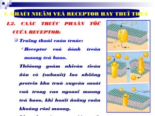 9
I. KHAÙI NIEÄM VEÀ RECEPTOR HAY THUÏ THEÅ
I.2. CAÁU TRUÙC PHAÂN TÖÛ
CUÛA RECEPTOR:
 Traïng thaùi caáu truùc:
Receptor coá ñònh treân
maøng teá baøo.
Thöôøng goàm nhieàu tieåu
ñôn vò (subunit) laø nhöõng
protein khu truù xuyeân suoát
caû trong vaø ngoaøi maøng
teá baøo, khi hoaït ñoäng vaãn
khoâng rôøi maøng.
 