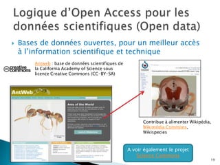 Il y a peu d‘exemples de revues commerciales hybridesLes Archives ouvertes en FranceEtat des lieux A consulter. Couperin/CNRS.INIST. L’Open Access en France : un état de l’art, avril 2010.56 entrepôts d’articles, 9 de thèses électroniques, 1 de monographies, 2 de rapports de recherche