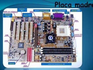 RANURA
                                                              Placa madre
               PCI                puerto joystick/MIDI      Puerto paralelo            Zócalo CPU
                                                                                 USB
Ranura               Ranura AGP
 CNR




    bateria                                         conectores memoria ddr 266
 