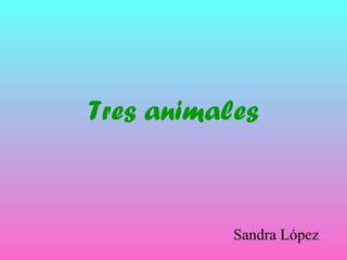 Tres animales
Sandra López
 
