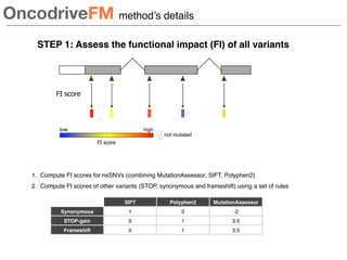1. Compute FI scores for nsSNVs (combining MutationAssessor, SIFT, Polyphen2)
2. Compute FI scores of other variants (STOP...