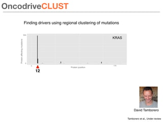 Finding drivers using regional clustering of mutations
Tamborero et al., Under review
Proteinaffectingmutations
Protein po...