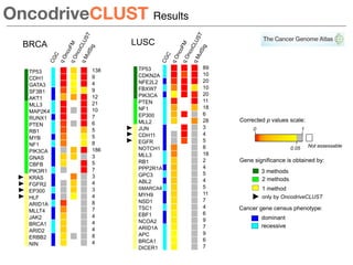 OncodriveCLUST Results
CGC
qOncoFMqOncoCLUST
qMutSig
138
9
4
9
12
21
10
7
6
5
5
8
186
3
5
7
3
4
3
4
8
7
4
4
4
8
4
TP53
CDH...