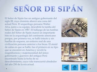 El Señor de Sipán fue un antiguo gobernante del
siglo III, cuyo dominio abarcó una zona del
actual Perú. El arqueólogo peruano Walter
Alva, junto a su equipo, descubrió la tumba del
Señor de Sipán en 1987. El hallazgo de las tumbas
reales del Señor de Sipán marcó un importante
hito en la arqueología del continente americano
porque, por primera vez, se halló intacto y sin
huellas de saqueos, un entierro real de una
civilización peruana anterior a los Incas. El ataúd
de cañas en que se halló, fue el primero en su tipo
que se encontró en América y reveló la
magnificencia y majestuosidad del único
gobernante y guerrero del antiguo Perú
encontrado hasta la fecha de su
descubrimiento, cuya vida transcurrió alrededor
del año 250 de la era actual.
 
