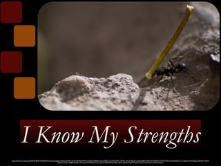 I Know My Strengths 
https://www.flickr.com/photos/8724931@N07/3635626947/in/photolist-6xgxee-k3kNaY-3ZRGRt-cPY2V5-4RAYaP-4WMYCr-bb3RNx-8AKEQh-e5Chj-9g8A5Y-nzmV5P-8pfWzC-N2T83-cwwLbh-9hgUDk-duKHs6-6fBM7y-84UWdV-eFRN89-4o7Kbf-9NTFB-E1X2D-b6Z9bk-jeP11G-2iZdQ-74iwMY-gQpXer-8UhEVz-5X2fUk-dXi9KX- 
7CrDXx-6MBEFf-8rPpBL-fs34Kk-8Vpoa7-6FDAnR-e7Lwru-dovWy-b1dBj-25ANGY-PjGjn-4j2WL-dkLuDn-fin1gG-fPSmqf-4Yq7LS-4LzxsD-hRddYx-i22Sk8-a3hWwu/ 
 