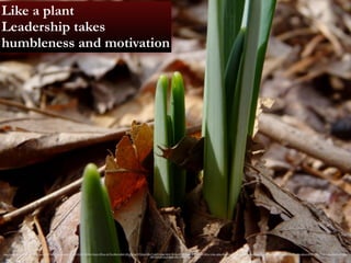 Like a plant 
Leadership takes 
humbleness and motivation 
https://www.flickr.com/photos/dendroica/13127182045/in/photolist-m11eSV-5Zzr5-59LMn-5ZzxU-2P5cw-4uTZu-B9q3-y8bA-5EXcW-4uU3T-3JSsh-59LUT-y8eM-3JSpz-3JStE-59LGq-59LBY-3JSqS-4fNB9j-y8ch-5EXs1-k5qn-y8dw-B9px-k5pD-5EXnh-6Ewqc-y8dn-5EXhj-6Ewnu-y8cR-6EwP5-6EwB8-jMeRD-y8bh-6Ewtj-2P5d1-9B3UX-y8ex-6EwKg-6EwFh-y8cu-y89T- 
5EXpR-k5q3-y8dD-y8c7-5ZAfV-5ZzJN-5ZAbU 
 