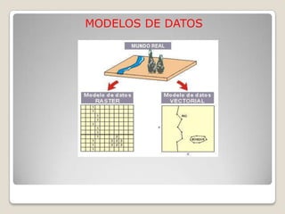 MODELOS DE DATOS
 