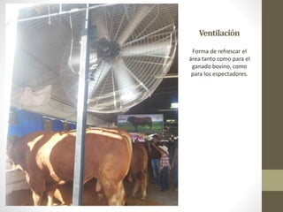 Ventilación
Forma de refrescar el
área tanto como para el
ganado bovino, como
para los espectadores.
 