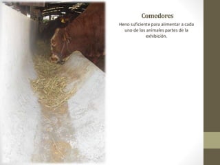 Comedores
Heno suficiente para alimentar a cada
uno de los animales partes de la
exhibición.
 