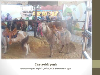 Carruseldeponis
Inadecuado para mi gusto, sin alcance de comida ni agua.
 