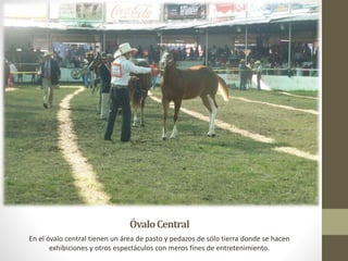 ÓvaloCentral
En el óvalo central tienen un área de pasto y pedazos de sólo tierra donde se hacen
exhibiciones y otros espectáculos con meros fines de entretenimiento.
 