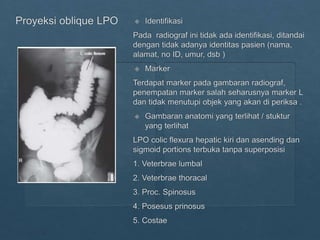 Loopografi Normal Radiologi ppt kritisi dan evaluasi radiograf Lopografi | PPTX