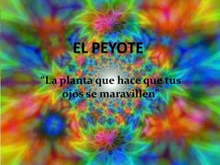 “ La planta que hace que tus ojos se maravillen” 