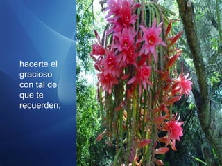 hacerte el
gracioso
con tal de
que te
recuerden;
 