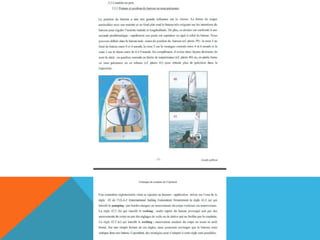 L'optimist en détail