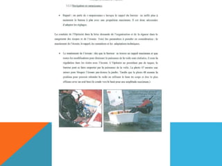 L'optimist en détail