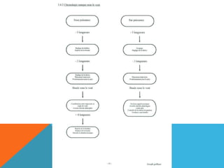 L'optimist en détail