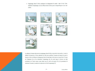 L'optimist en détail