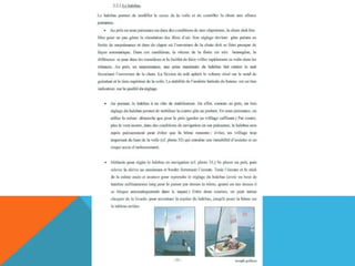 L'optimist en détail