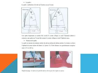 L'optimist en détail