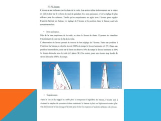 L'optimist en détail