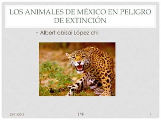 LOS ANIMALES DE MÉXICO EN PELIGRO
DE EXTINCIÓN
• Albert abisai López chi

23/11/2013

1°F

1

 