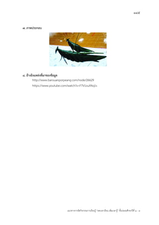 145
แนวทางการจัดกิจกรรมการเรียนรู฾ “ลดเวลาเรียน เพิ่มเวลารู฾” ชั้นปะถมศึกษาปีที่ 1 - 3
7. ภาพประกอบ
8. อ้างอิงแหล่งที่มาของข้อมูล
http://www.bansuanporpeang.com/node/26629
https://www.youtube.com/watch?v=F7V1zuXNq1s
 